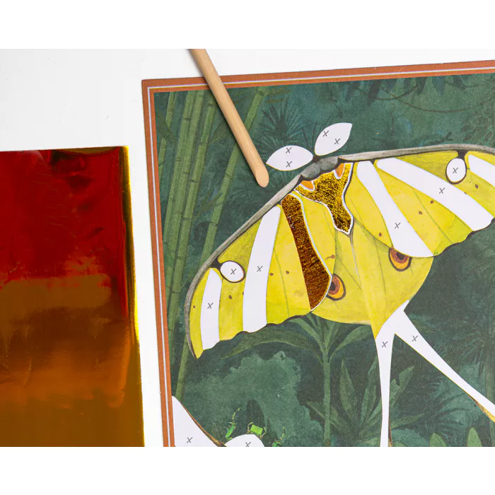 Cartes fantastiques - Tout autour du monde – Image 4