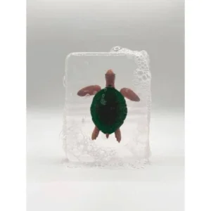 Savon – Tortue