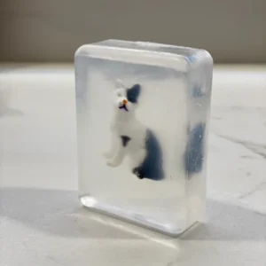 Savon – Chat