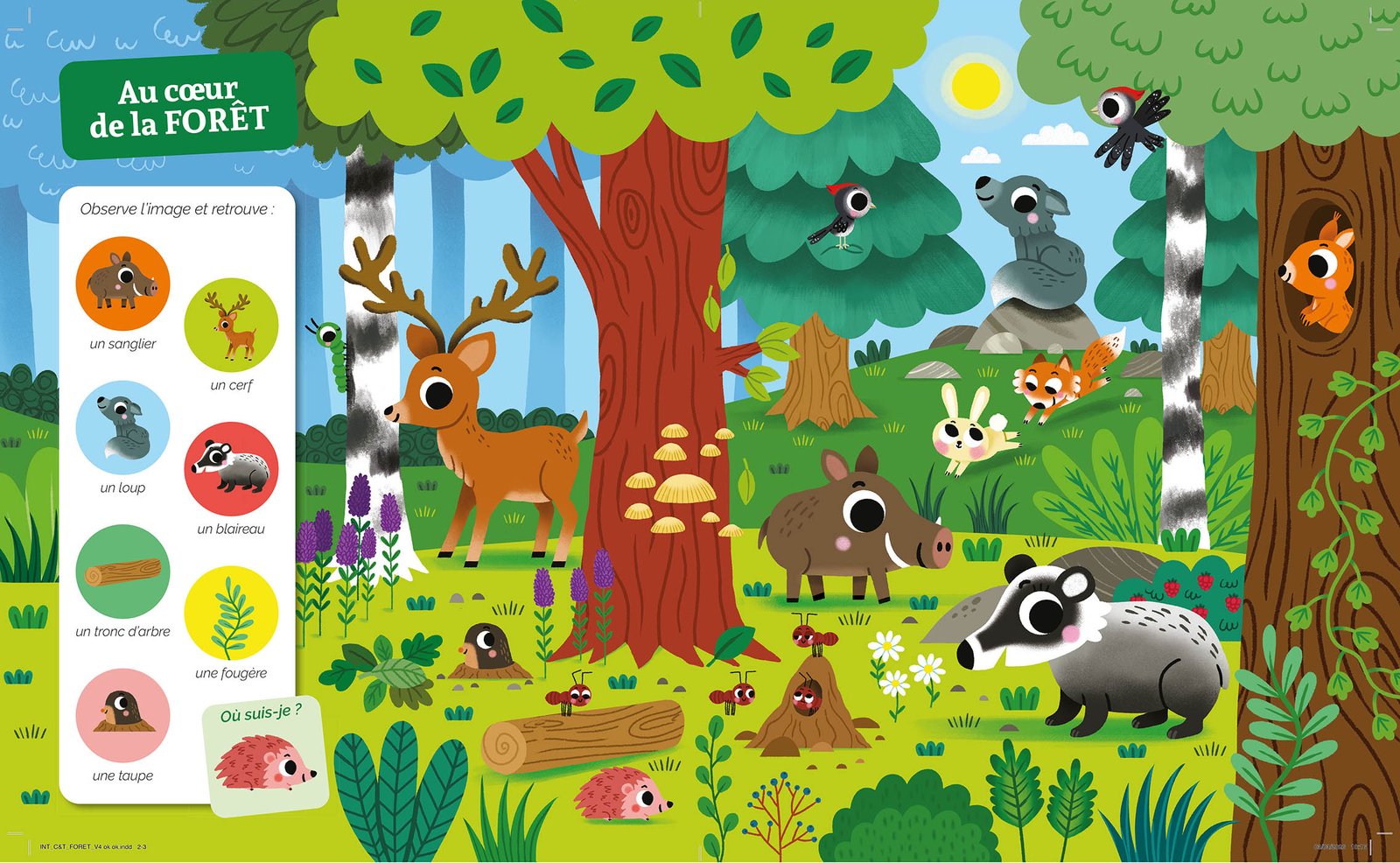 Cherche et trouve - Dans la forêt – Image 2