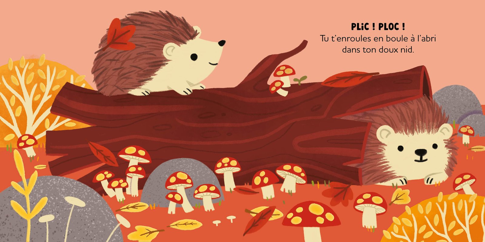 Histoires à câliner - Au coeur de la forêt – Image 3